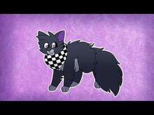 Catkichi