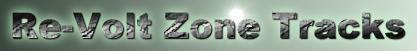 Rvzt logo long