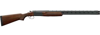 Shotgun