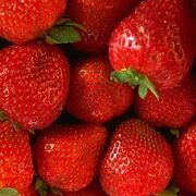 Erdbeeren