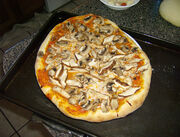Funghi
