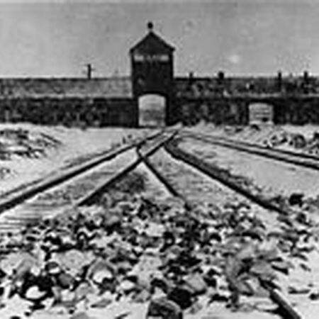 Kz Auschwitz Birkenau Rhein Neckar Indushistory Wiki Fandom