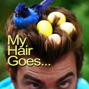 My Hair Goes Rhett And Link Wiki Fandom