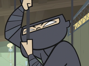 Ninja