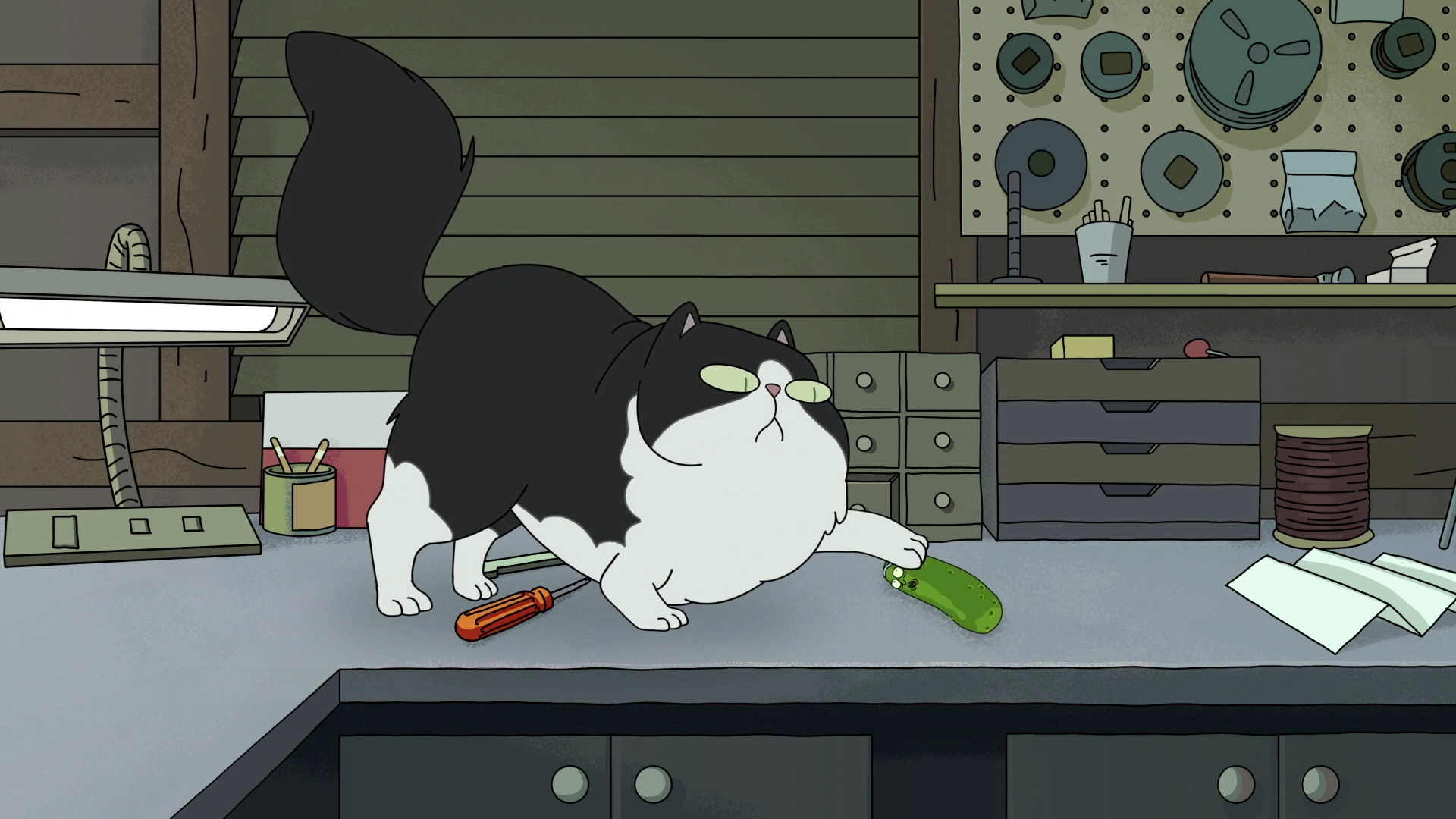 Image S3e3 cat play.png Rick and Morty Wiki FANDOM powered by Wikia