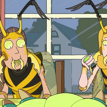 Wasp Jerry Rick And Morty Wiki Fandom