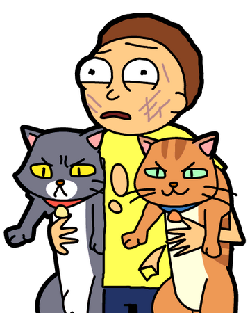 Two Cat Morty Rick And Morty Wiki Fandom