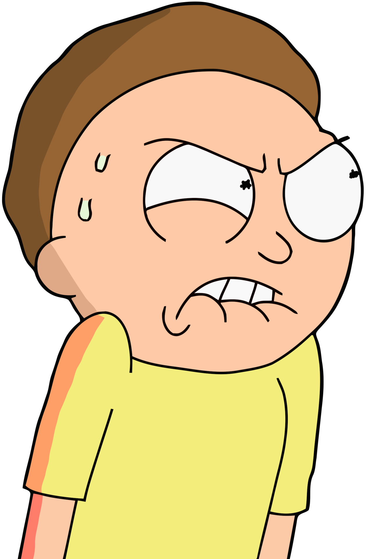 Image result for morty