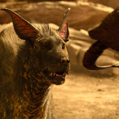 Alien Jackal | Riddick Wiki | FANDOM powered by Wikia
