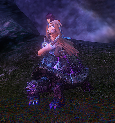 File:Shimmerwood Turtle - mount.png