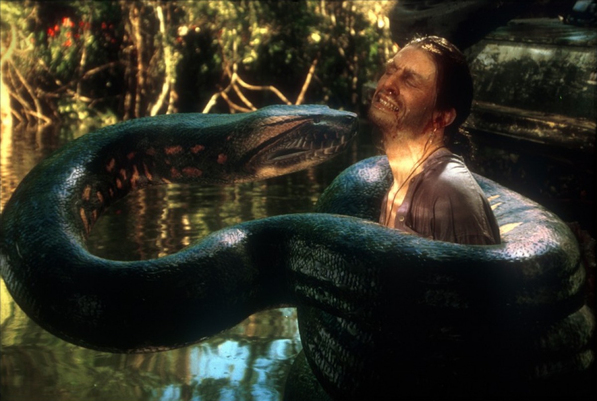 Anaconda | RiffTrax Wiki | FANDOM powered by Wikia