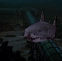 Jaws 3 Rifftrax Presents Rifftrax Wiki Fandom