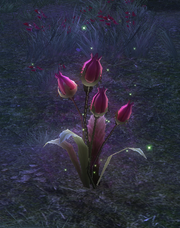 Grieveblossom