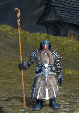 Warden