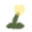 Plant Dandelion