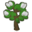 Hlopok