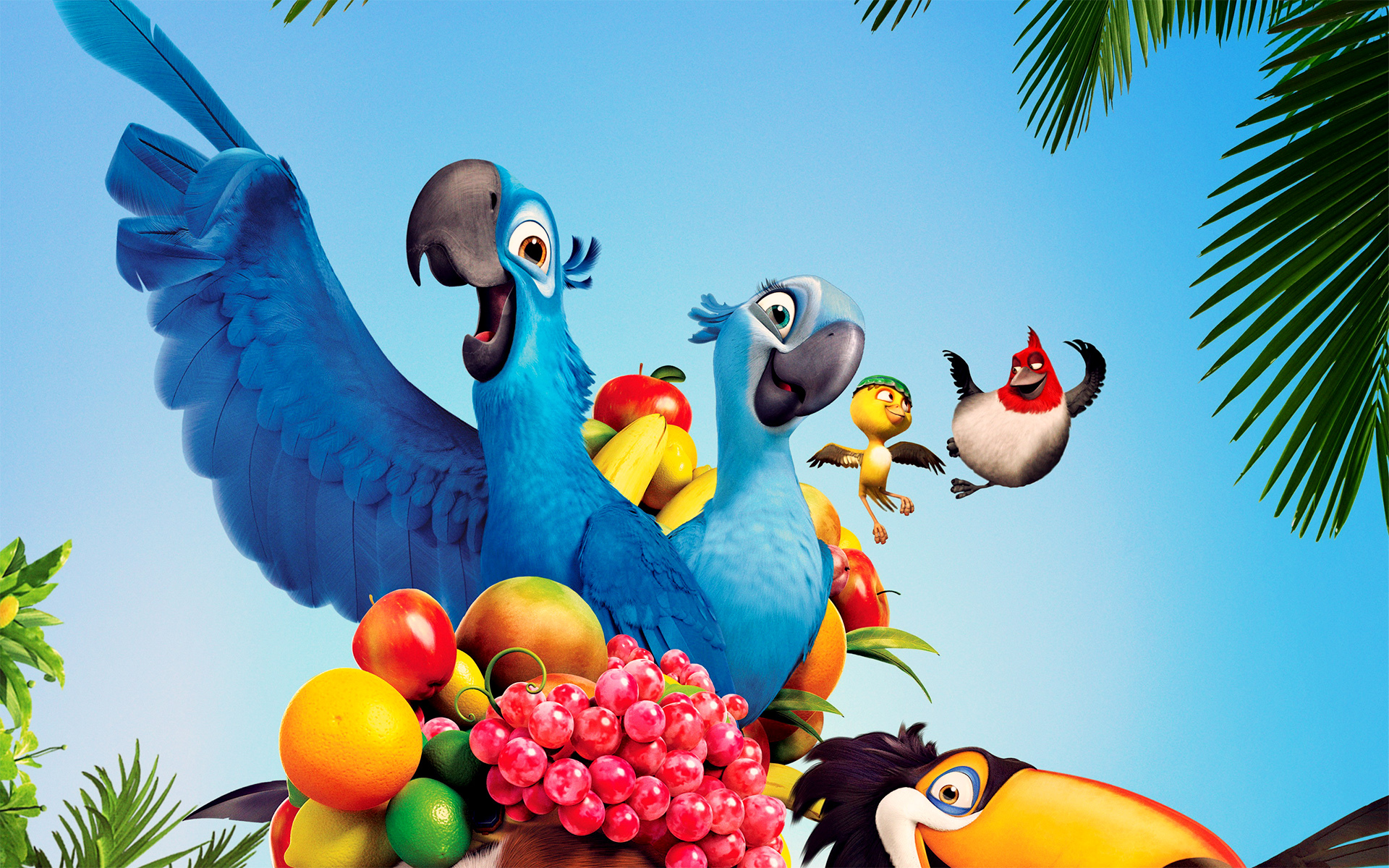 image rio 2 cartoon wallpapers and images download wallpapers