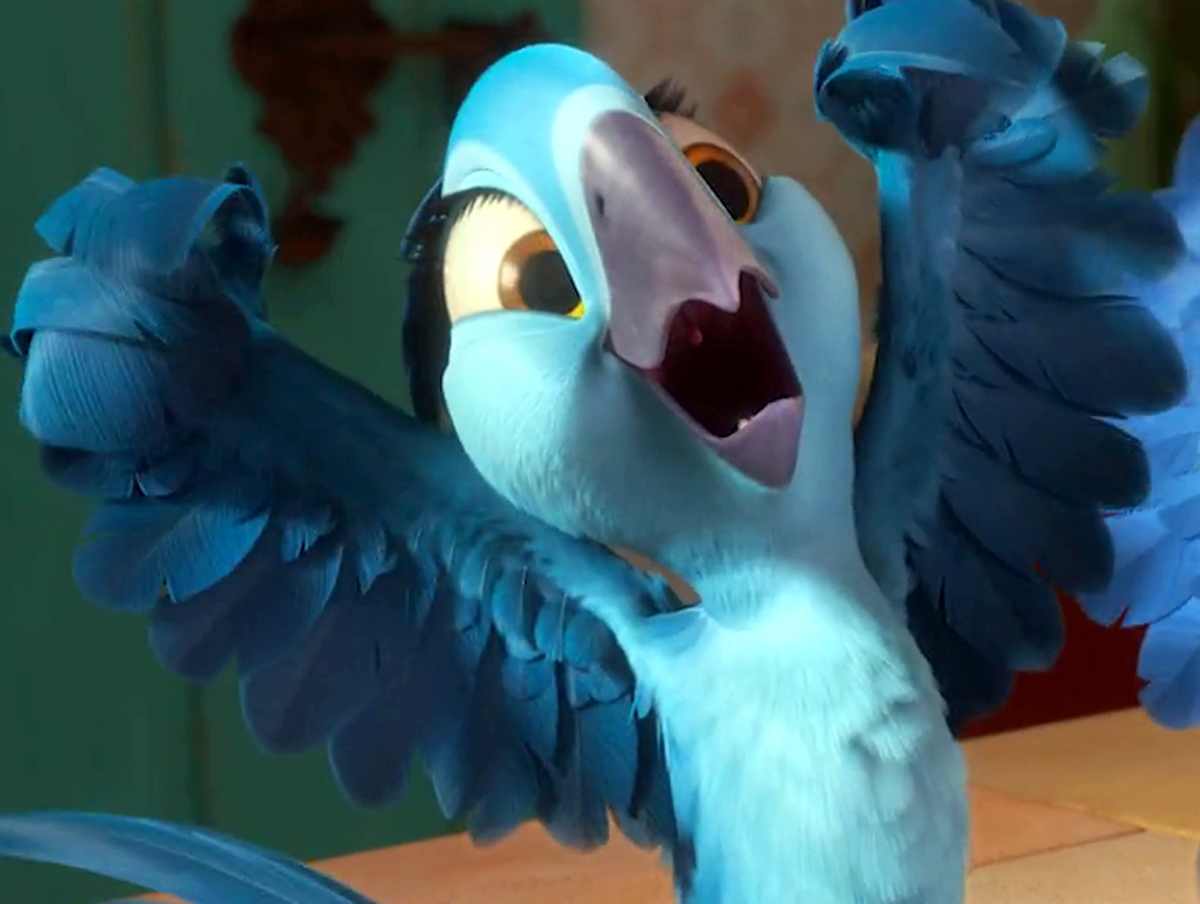 bia-rio-wiki-fandom-powered-by-wikia