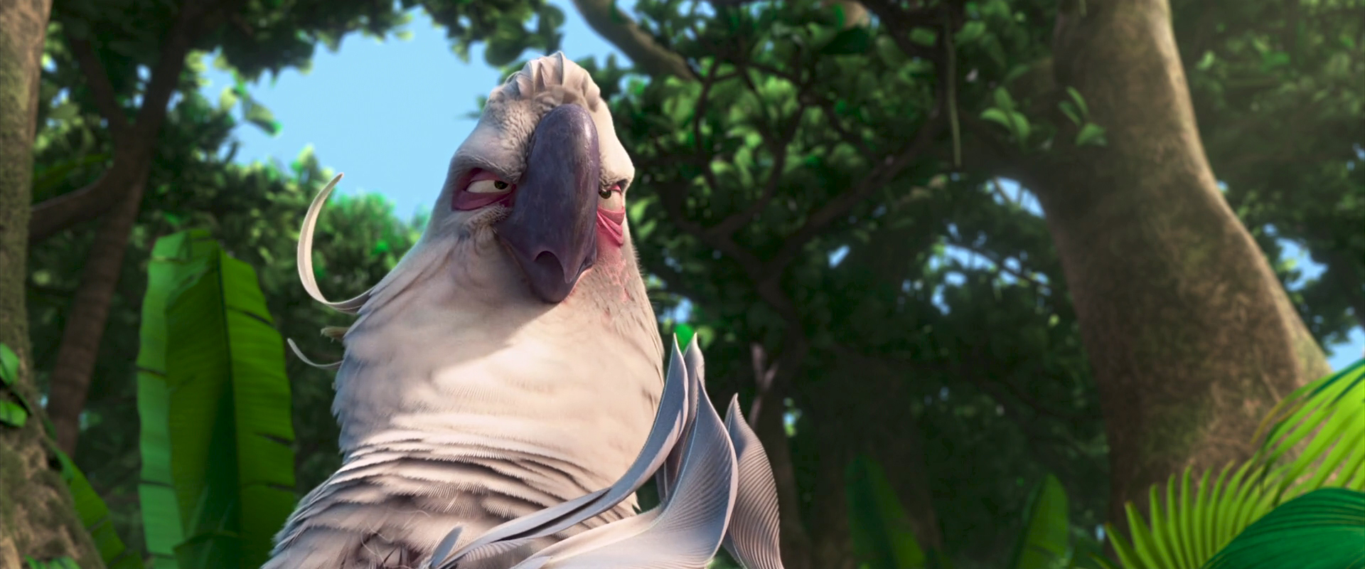 image-nigel-jpg-rio-wiki-fandom-powered-by-wikia