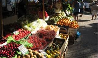 The Fruit Stand