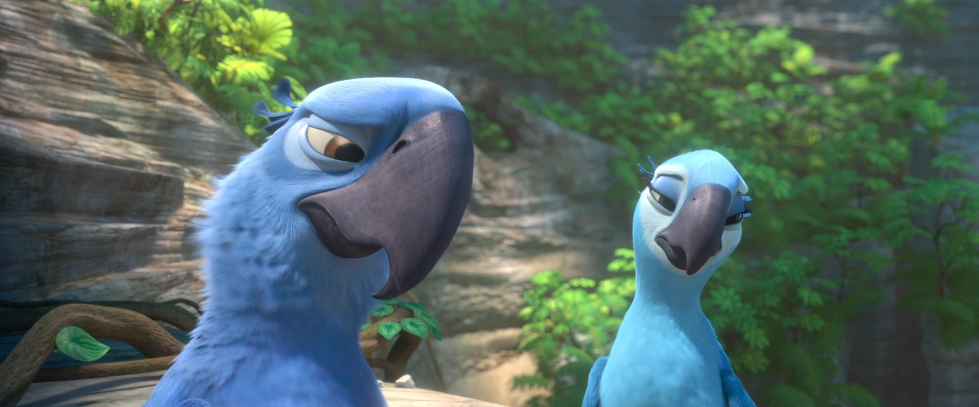 Image Blu 100Jewel 100 59.png Rio Wiki FANDOM powered by Wikia