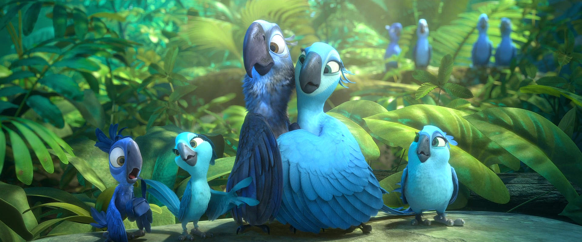 Image - Rio 2 ending 01.jpg | Rio Wiki | FANDOM powered by Wikia