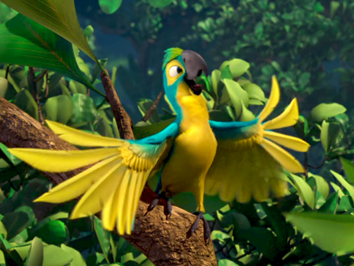 Image Mainpage Navmap Thumb Blue And Gold Macaw Rio Wiki