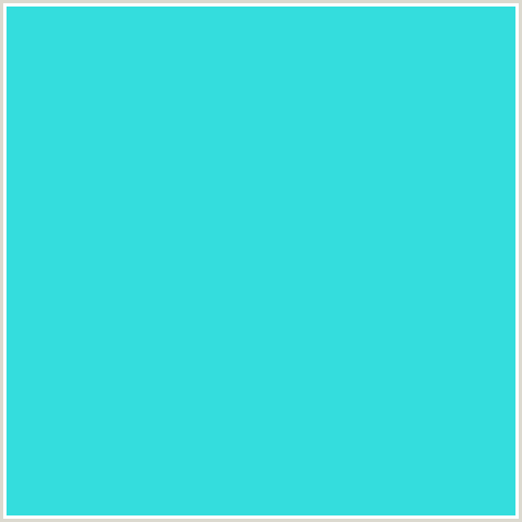 image 34dddd turquoise png rio wiki fandom powered by wikia