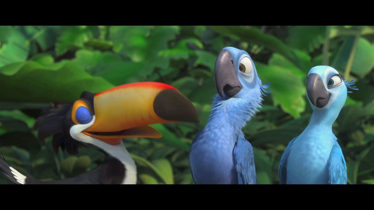 Image Rio teaser hd.jpg Rio Wiki FANDOM powered by Wikia