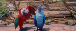 Rio 2(it's a jungle out here)