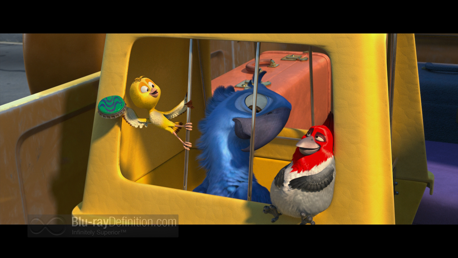 image-rio-blu-jpg-rio-wiki-fandom-powered-by-wikia