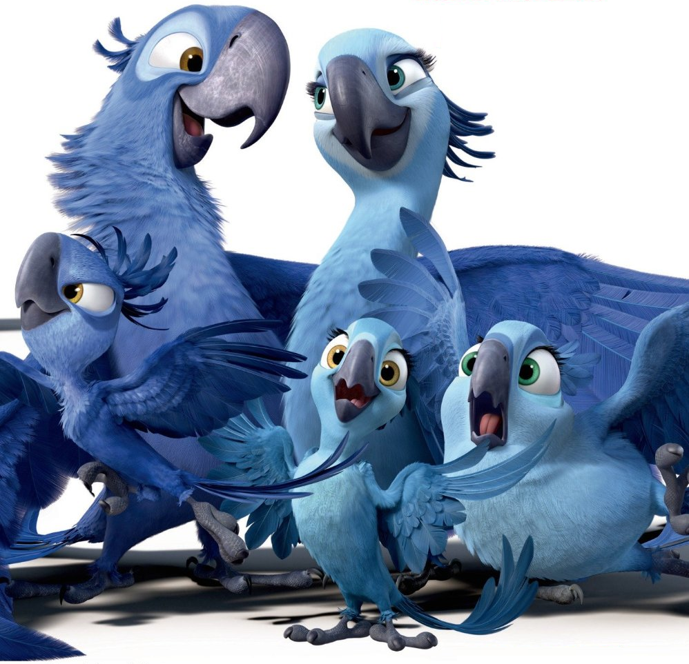 Image Spix Macaw Familypng Rio Wiki FANDOM Powered By Wikia