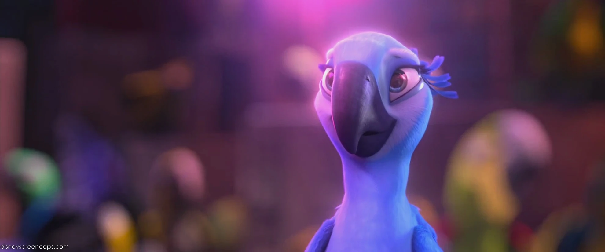 Image Rio Wiki FANDOM powered by Wikia