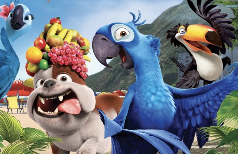 image cartoon movies rio parrot blue celebrity and movie pictures