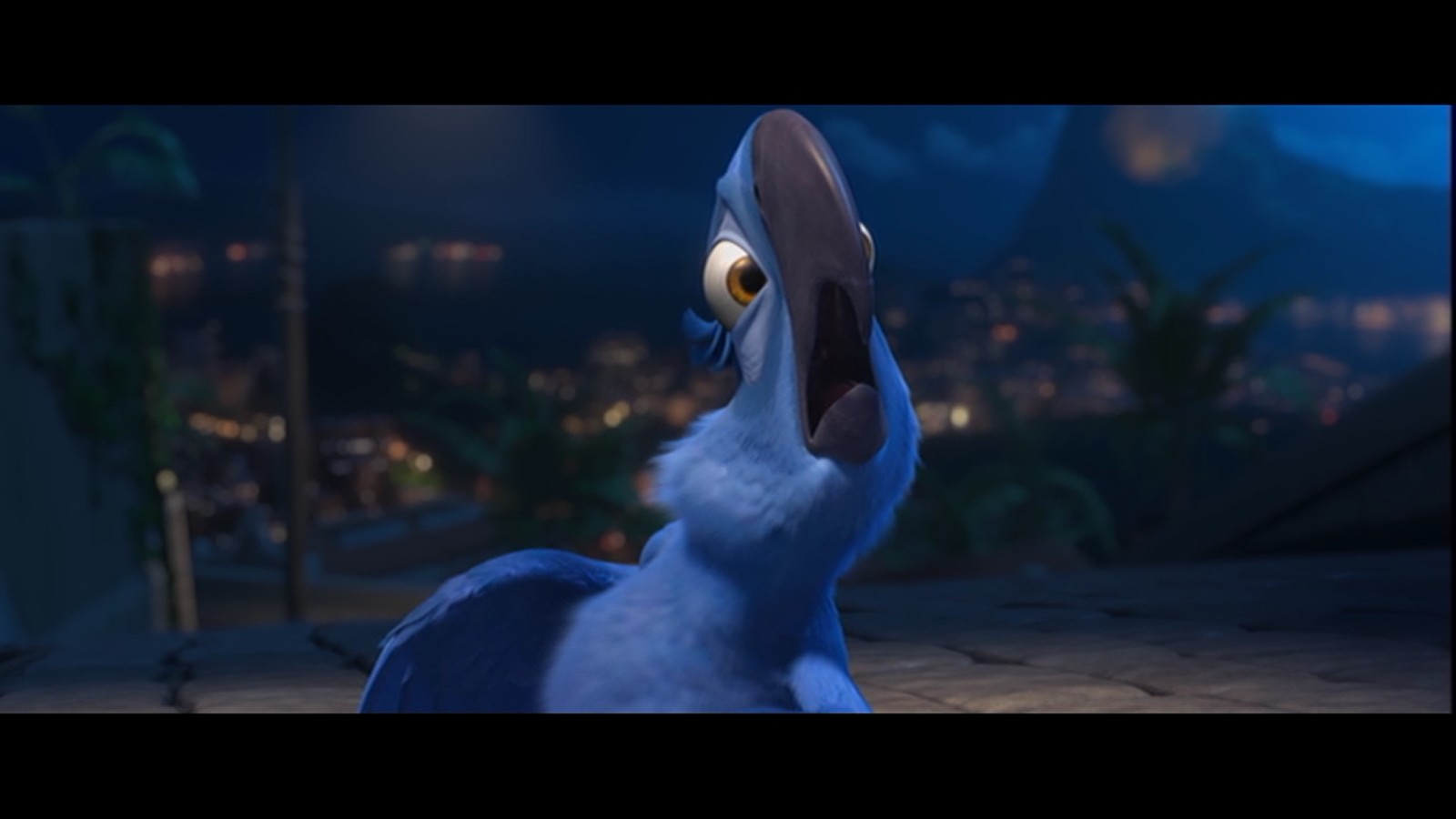 bild-blu-4-jpg-rio-wiki-fandom-powered-by-wikia