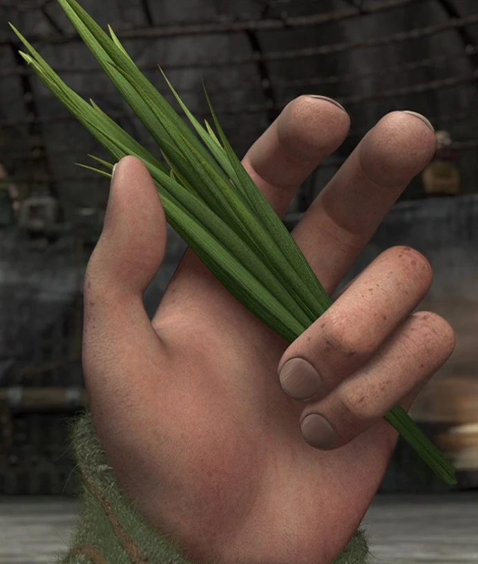 Dragon Nip Rise of the Brave Tangled Dragons Wiki FANDOM powered by Wikia