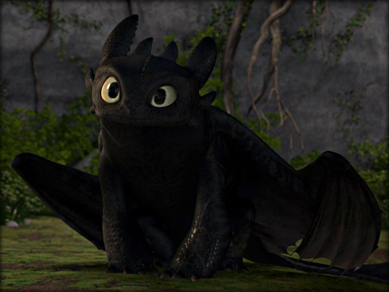 Image result for toothless