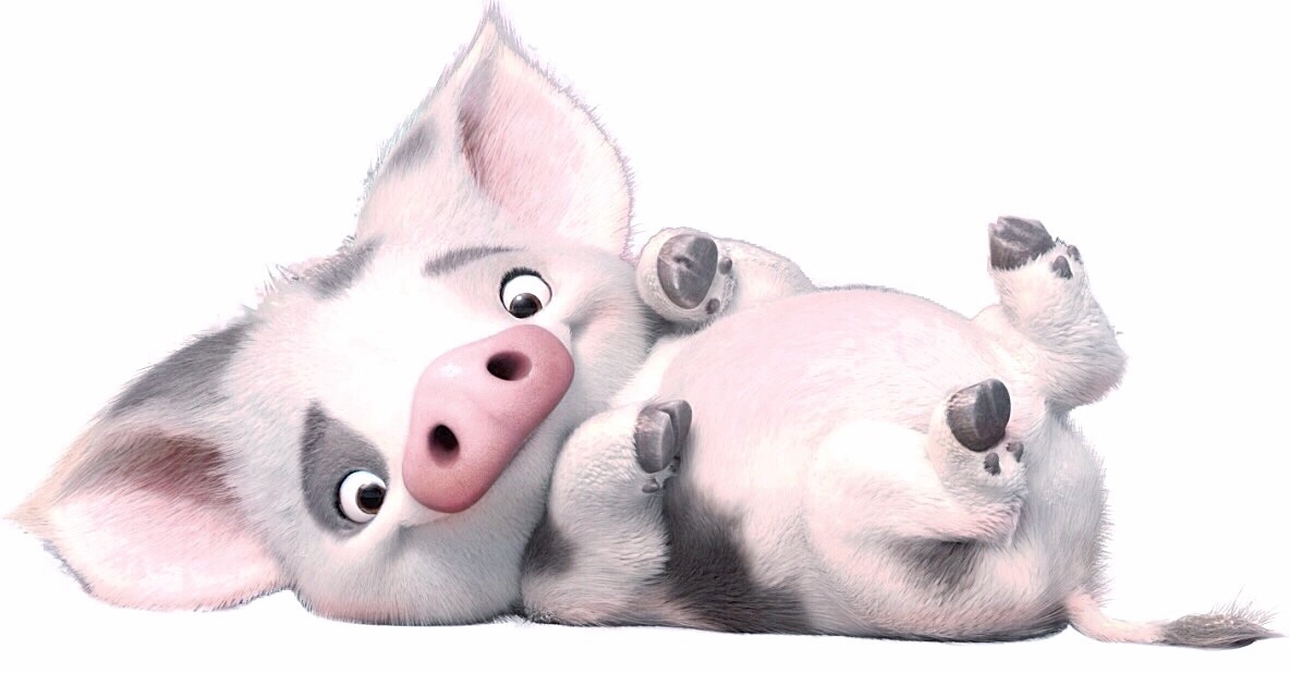 Moana Characters Pig
