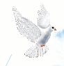 Dove