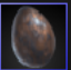 Egg capsule