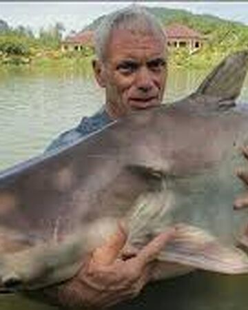 Mekong Giant Catfish River Monsters Wiki Fandom