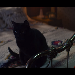 Salem Archieverse Wiki Fandom