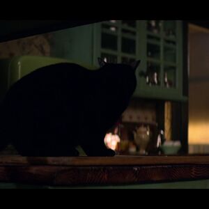 Salem Archieverse Wiki Fandom