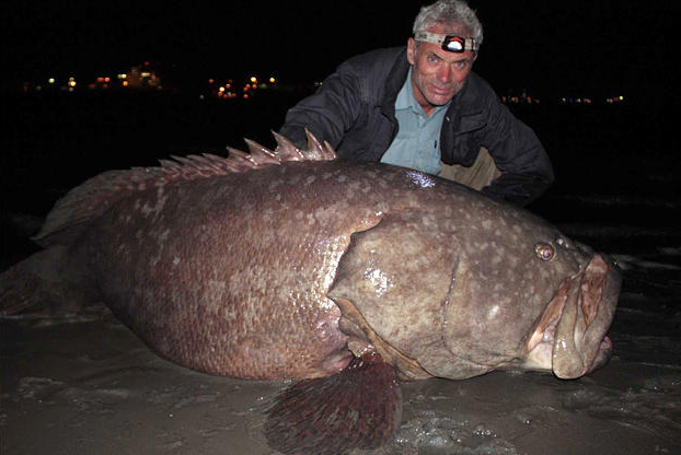 river monster river monster