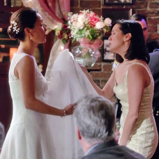 rizzoli & isles a shot in the dark