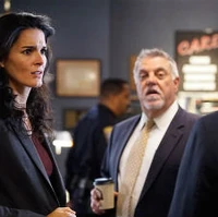 Dead Weight The Rizzoli And Isles Series Wiki Fandom