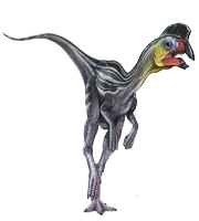 Oviraptor
