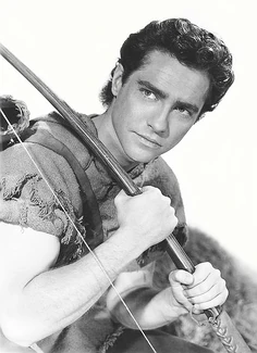 Image result for richard todd robin hood