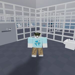 Cruise Roblox Airplane Story Wiki Fandom