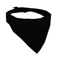 Portal Hats Roblox Apocalypse Rising Wiki Fandom